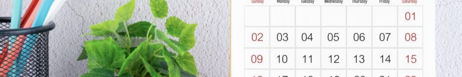 August Health Awareness Events and How Pharmacies Can Participate